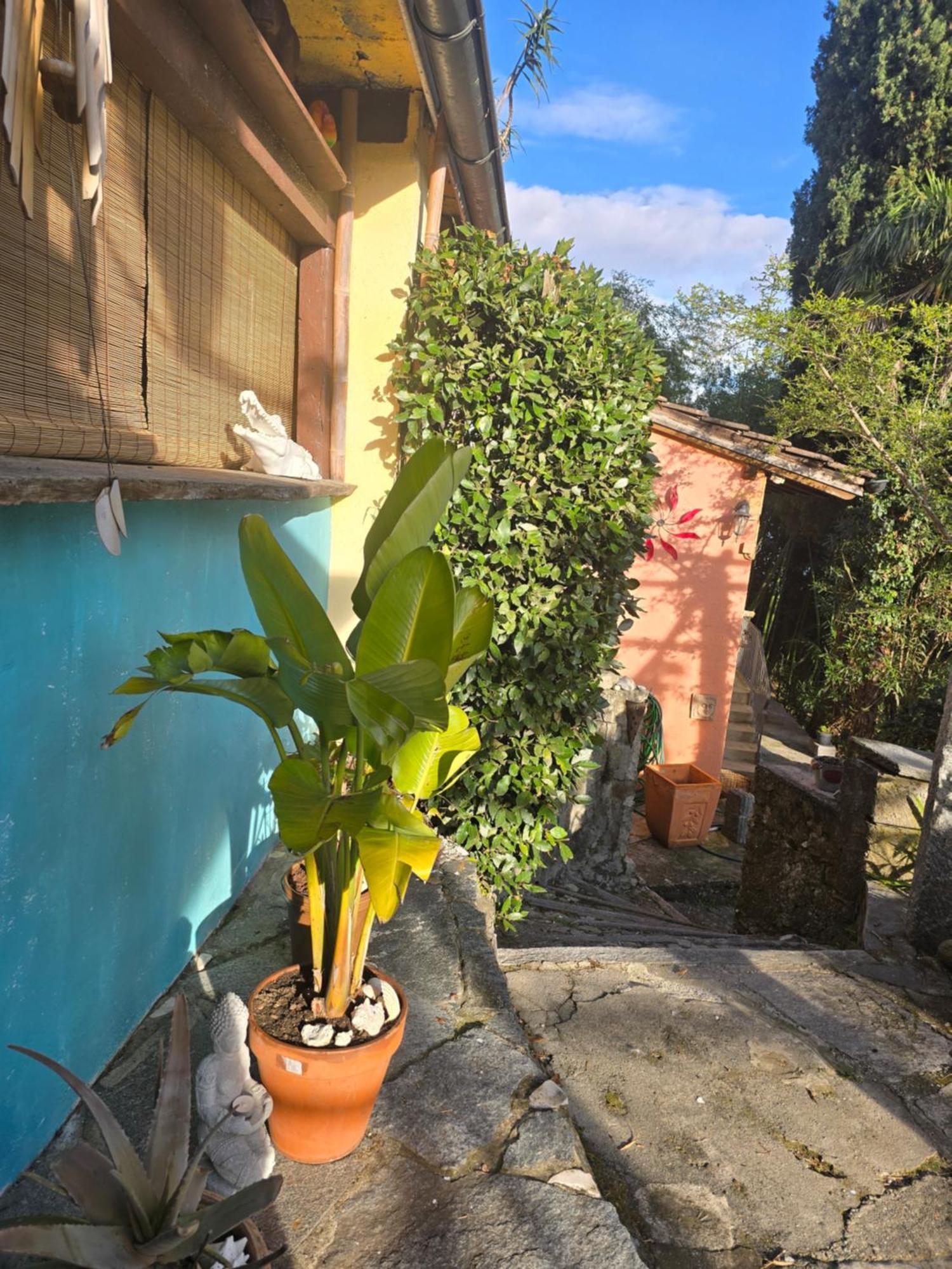 Pensione Olanda Locarno Exterior foto